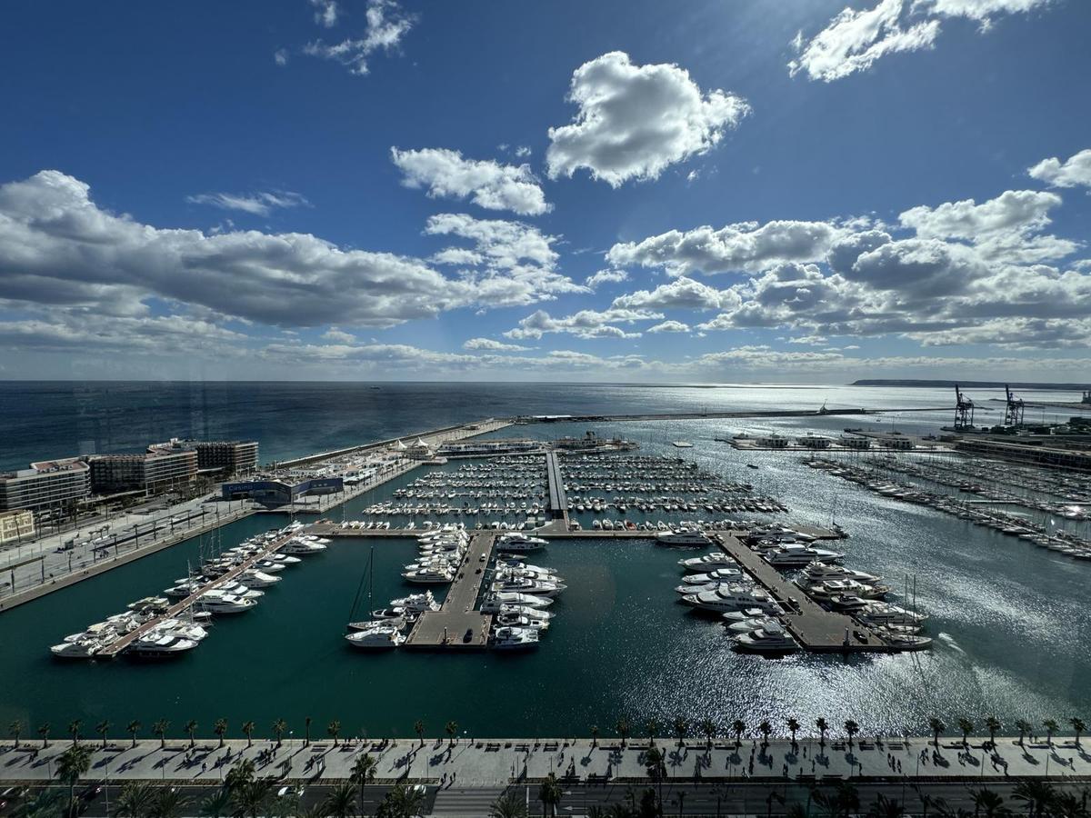 Puro Alicante 2