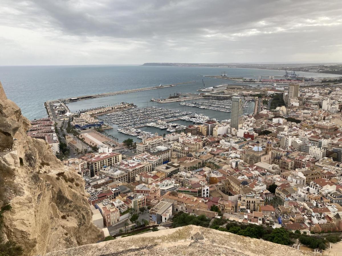 Puro Alicante 7